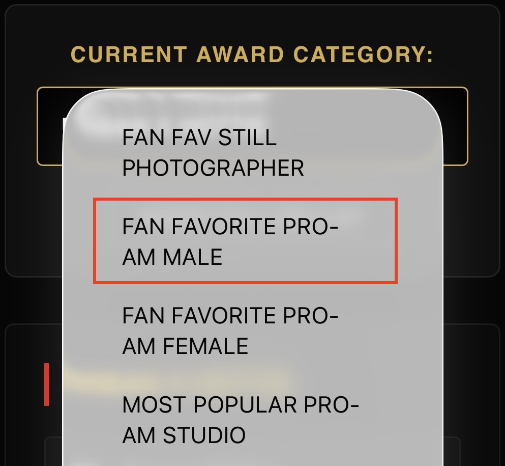 Most Popular Pro-Am Studio voting category