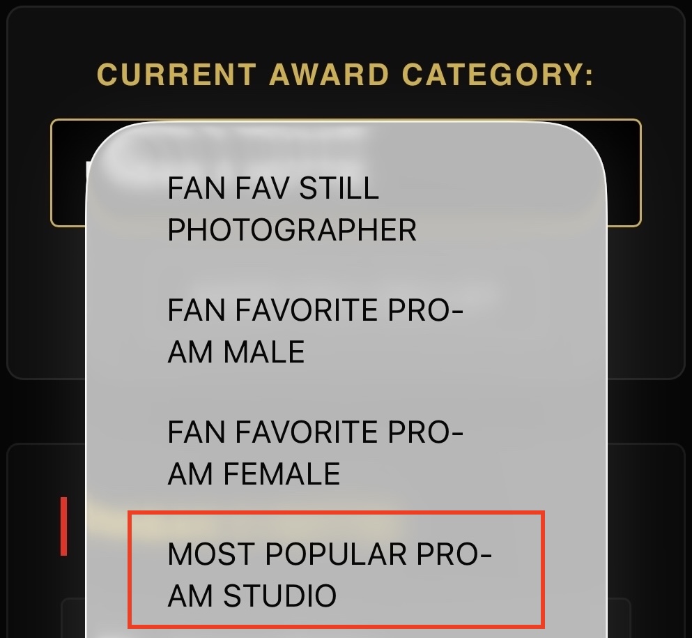 Most Popular Pro-Am Studio voting category